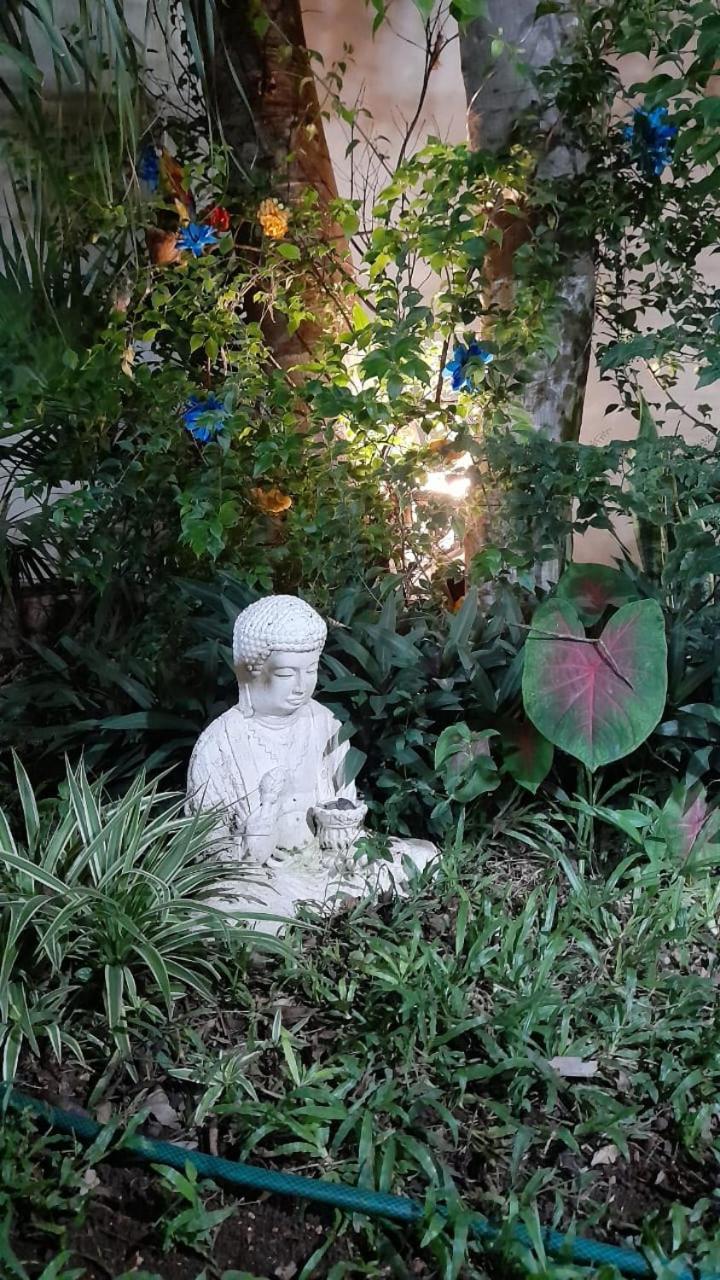 Casa Atrapasuenos 호텔 바야돌리드 외부 사진